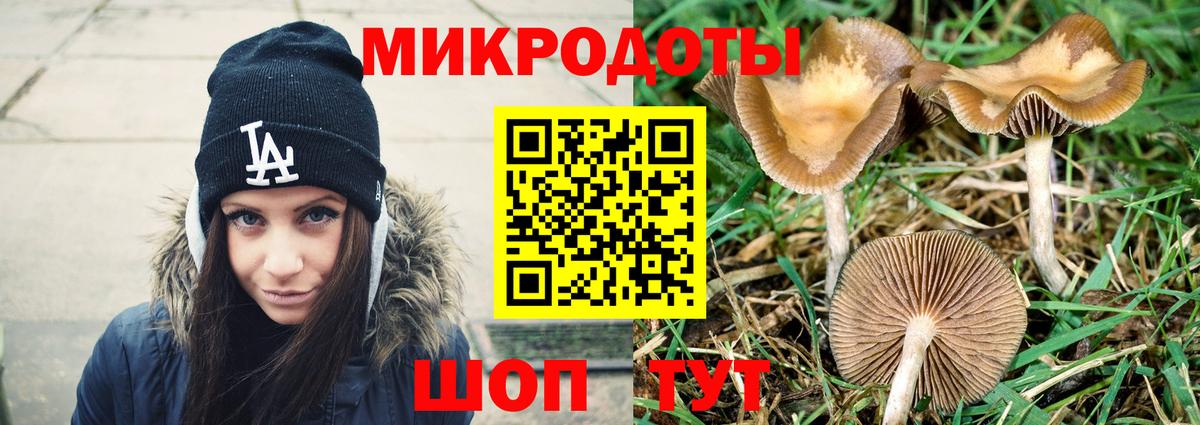 Каменск-Уральский  Галлюциногенные грибы прущие грибы  Галлюциногенные грибы прущие грибы  купить  сайты  Вход с VPN 