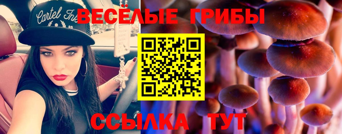 Галлюциногенные грибы Psilocybe Каменск-Уральский